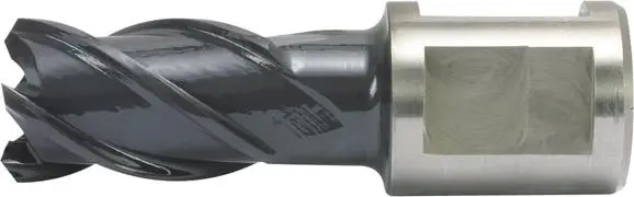 ALFRA Kernbohrer HSS-Co RQX 49/50mm Jetzt Bestellen