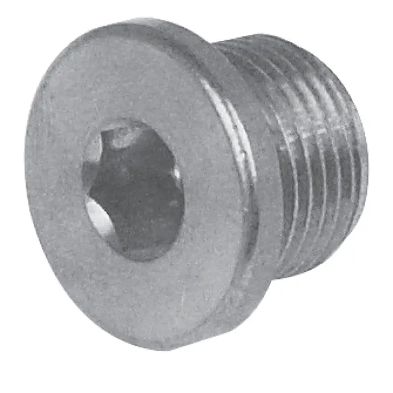 Aircraft Verschlußschraube R 2 1/2" 113139 Finale Aktion