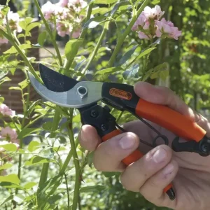 Damengartenschere "Königin der Rosen" Rabatt
