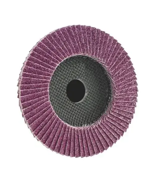Echt Fächerschleifscheibe Trimfix Black Mamba 115 mm, K 60 für schwerste Stahlarbeiten