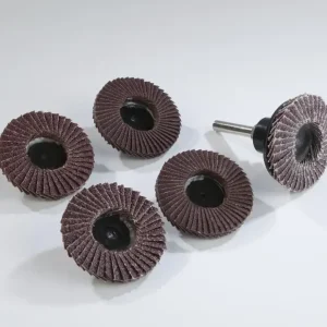 Fächerschleifscheiben Set 5-teilig für Bohrmaschinen, Durchmesser 50 mm Preiswert