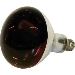 Infrarot Hartglaslampe, 250 Watt, rot Neue Ware