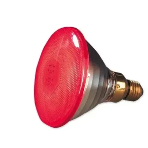 Billig Infrarot Sparlampe 100 W - für Wärmestrahlgeräte