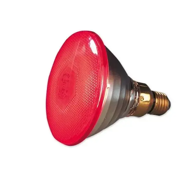 Letzte Chance Infrarot Sparlampe 175 W - für Wärmestrahlgeräte