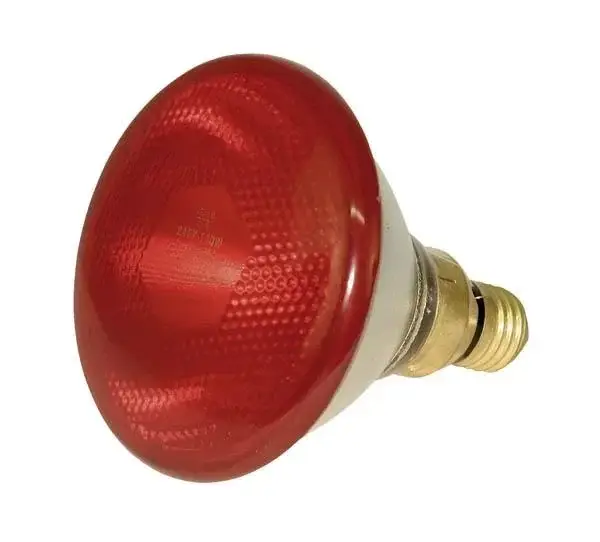 Infrarot Sparlampe PAR 38, 100 Watt, rot Neue Kollektion