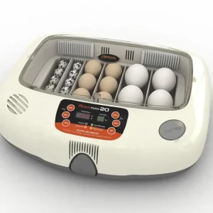 Markenware Inkubator R-COM 20 MAX