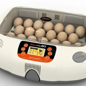 Inkubator R-COM 20 PRO Expressversand