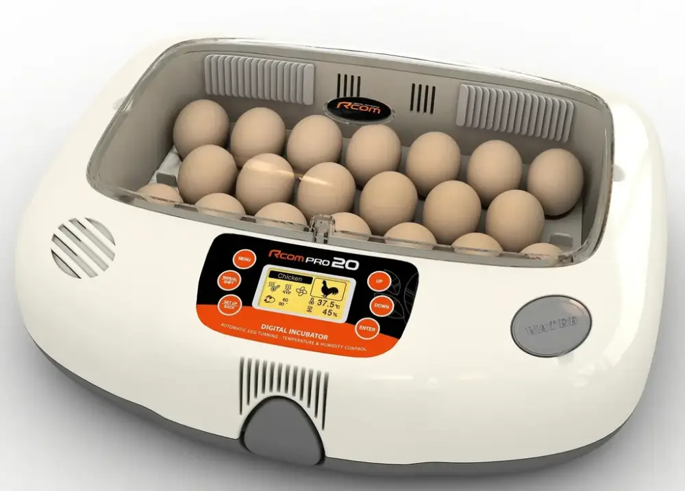 Inkubator R-COM 20 PRO Expressversand