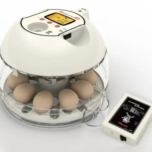 Nur Heute Inkubator R-COM10 PRO PLUS für 10 Eier