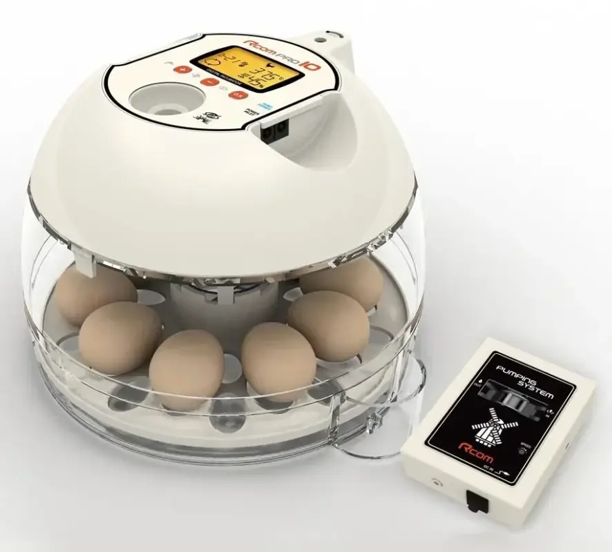 Nur Heute Inkubator R-COM10 PRO PLUS für 10 Eier