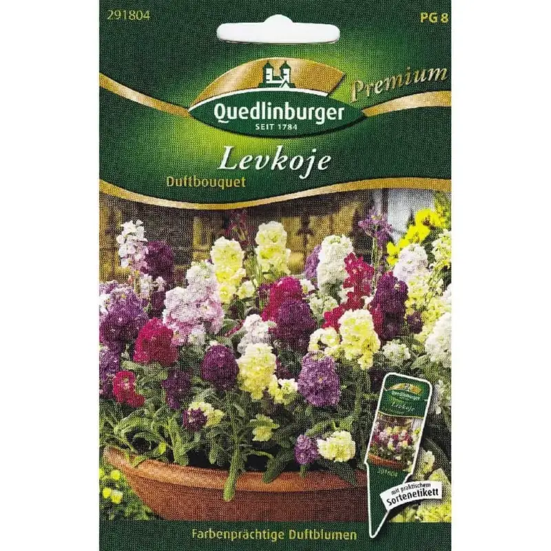 Beliebt Levkojen Samen, Sommerblumen, Duftbouquet