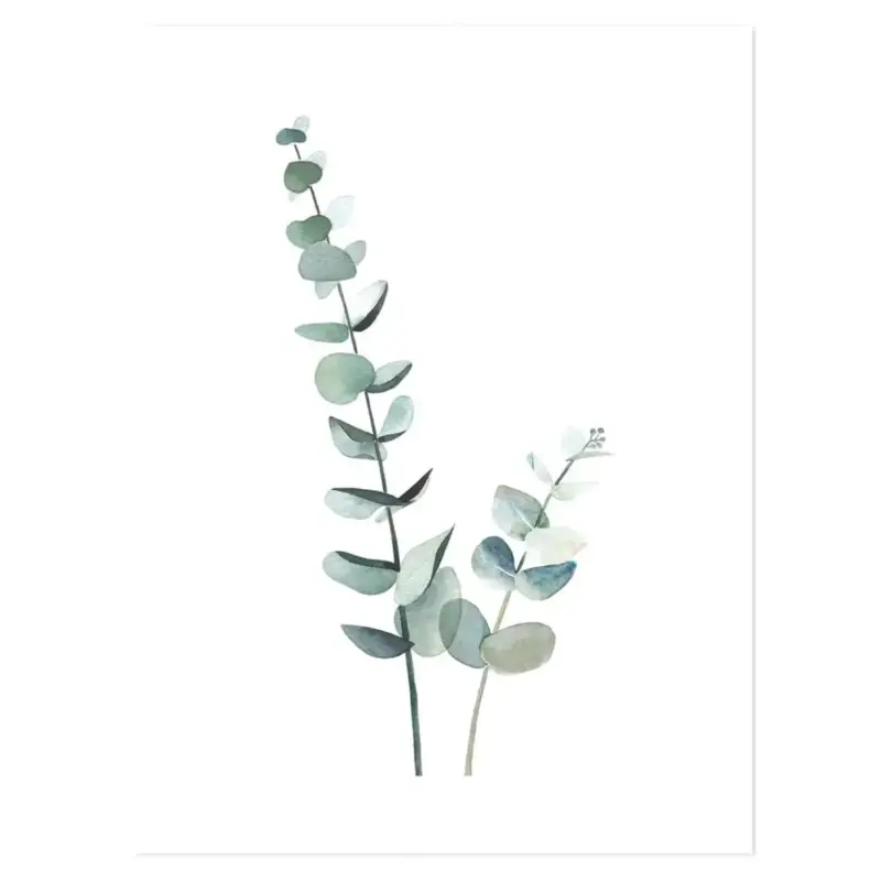 Lilipinso Poster Eucalyptus zartgrün Bestseller