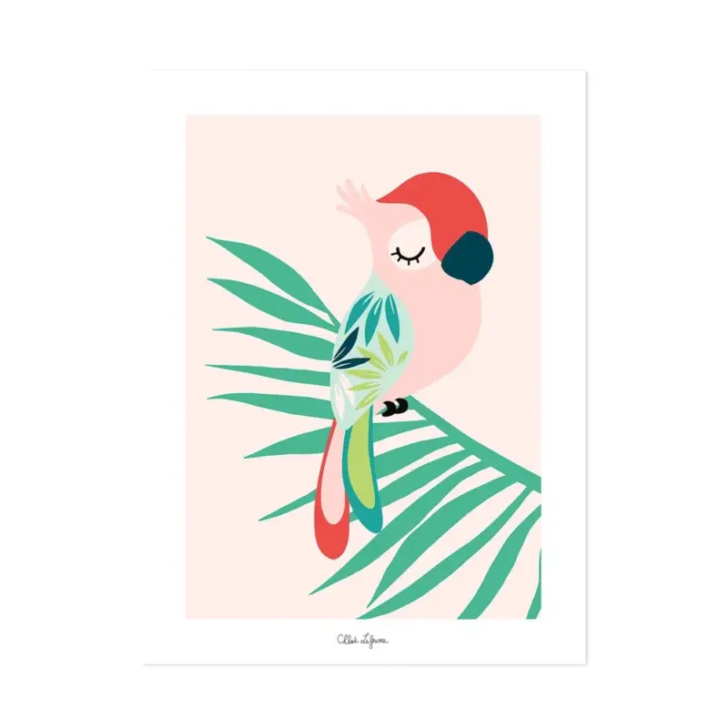 Lilipinso Poster schlafender Papagei rosa rot grün Heißes Angebot