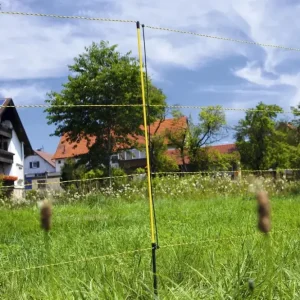 Schafnetz "Easy Net", 105 cm hoch, 50 m lang Abverkauf