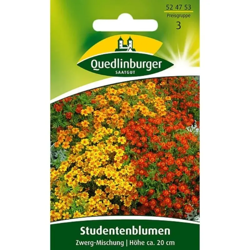 Studentenblume, Zwerg-Mischung Sonderangebot