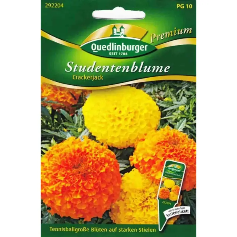 Studentenblumen, Crackerjack Mega-Angebot