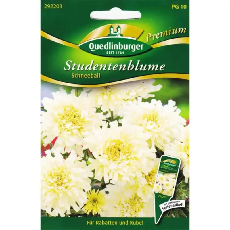 Studentenblumen, Schneeball Angebot