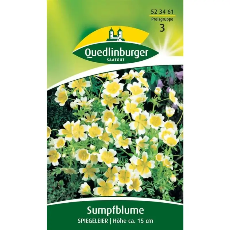 Nur Heute Sumpfblume, Spiegeleier