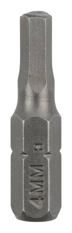 Bosch Zubehör Schrauberbit Standard HEX4 - 2er Pack Garantierte Lieferung