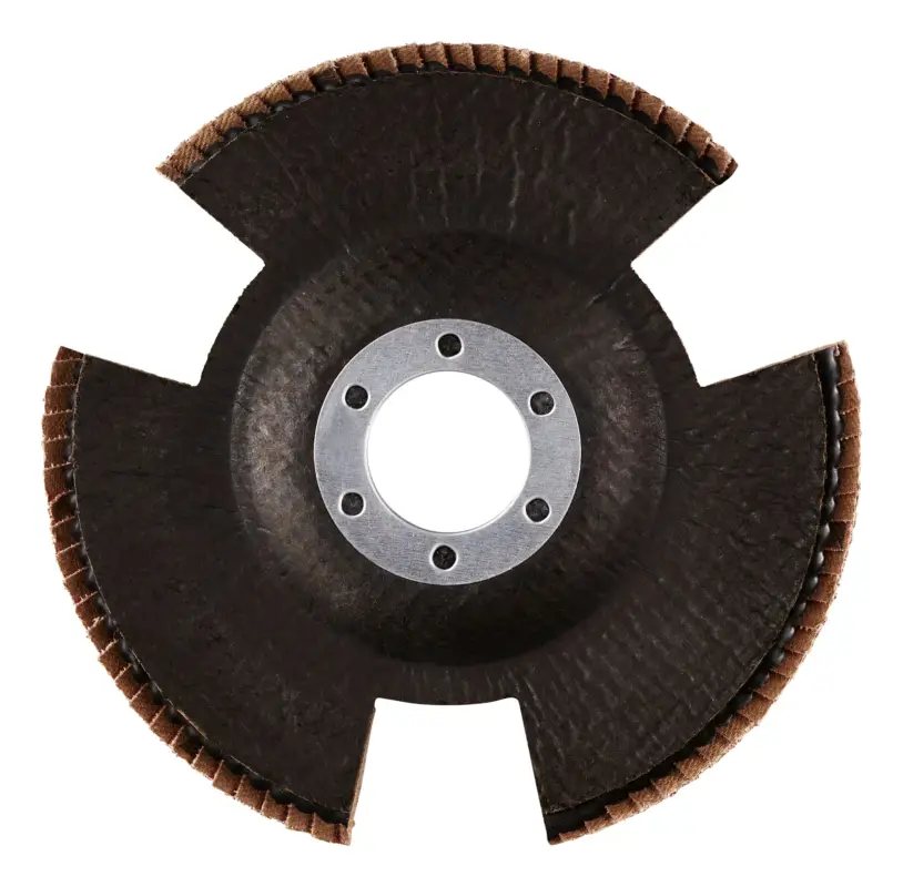 Echt Rhodius TOPline VISION SPEED Lamellenschleifscheibe - 115 x 22,23 mm - P80
