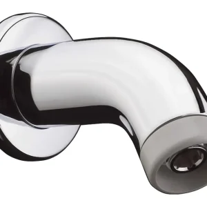 Direktkauf Hansgrohe Rohrbrausearm 100 mm - Chrom